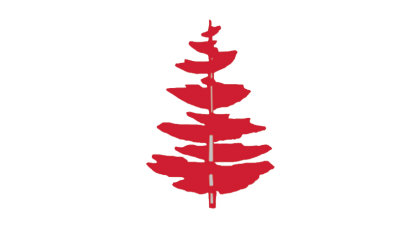 Pine PNG